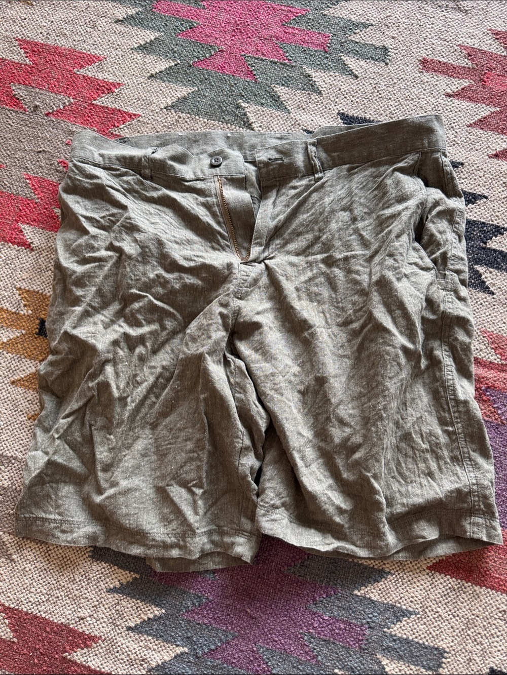 Patagonia Men's Olive Green Flat Front Shorts